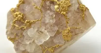 conglomerado aurífero con cuarzo