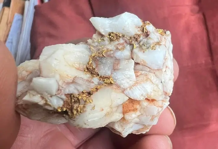 Ejemplar de cuarzo crudo que encierra vetas de oro.